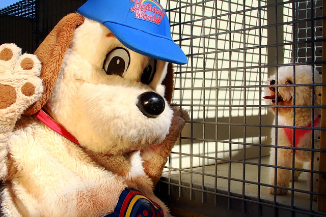 Holidog visits Bella at the Holidog Inn | Holiday World & Splashin' Safari Holidog visits Bella at the Holidog Inn