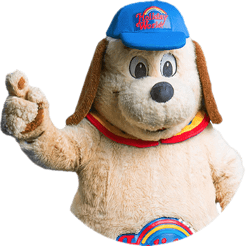 HoliDog