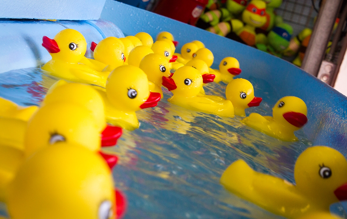 Duck Pond game at Holiday World.